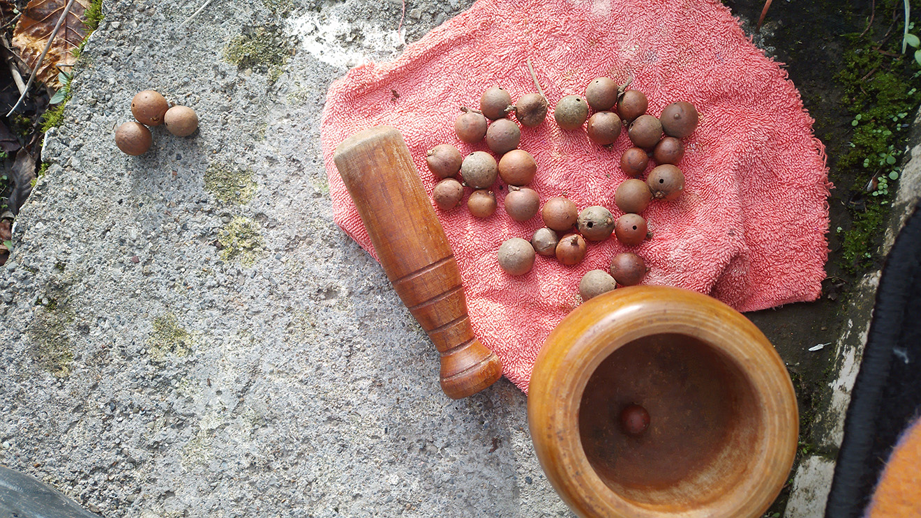 Homemade pigments and natural materials arranged for ink-making